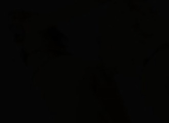 Godage anal lesbien pour une blonde en string