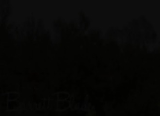 Un roman à l'eau de rose l'excite vraiment