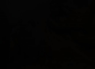 Deux bisex brune et blonde mouillent en trio